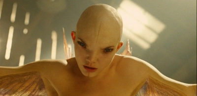Splice (Splice)